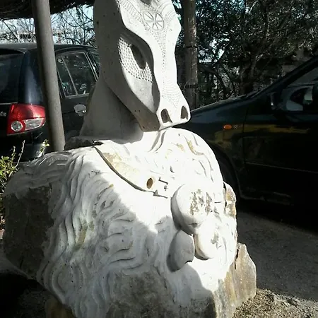 Fiore * Tottubella